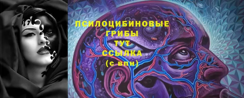 Какие есть наркотики Ногинск АМФ  Гашиш  Канабис 