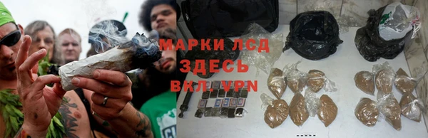 mdma Кукмор