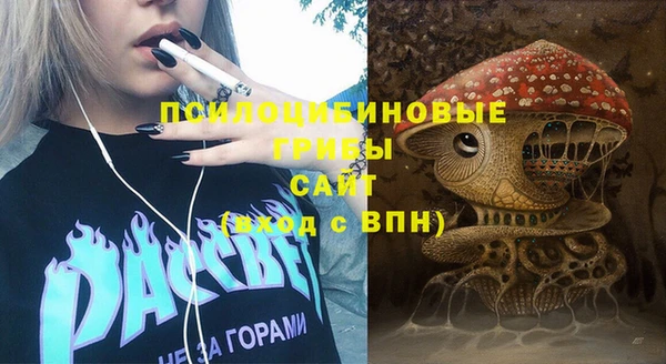 гашиш Новодвинск