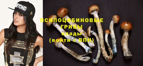 гашиш Новодвинск