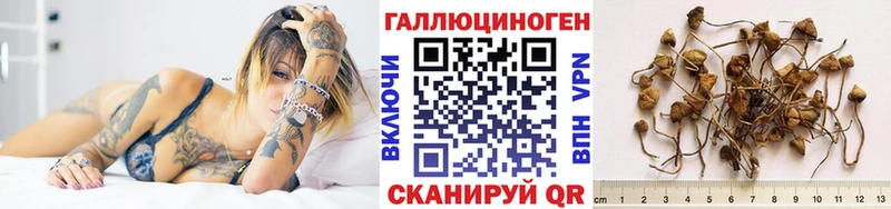 Псилоцибиновые грибы прущие грибы  даркнет сайт  Ногинск 