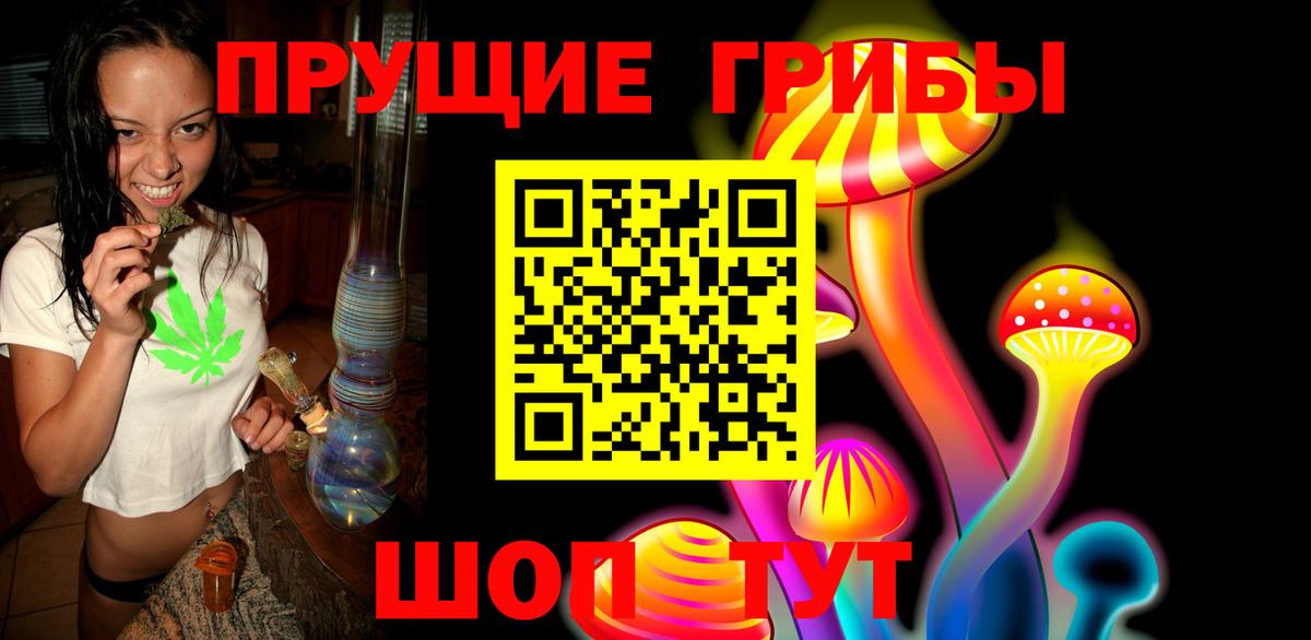 магазин продажи   Ногинск  Псилоцибиновые грибы ЛСД 