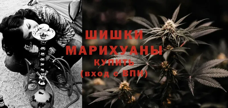 Бошки марихуана VHQ  Ногинск 