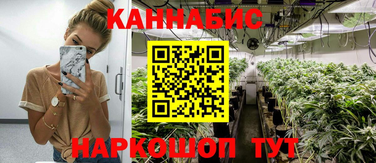 Марихуана тримм  Вход с VPN  Шишки марихуана конопля  Ногинск 